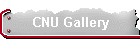 CNU Gallery